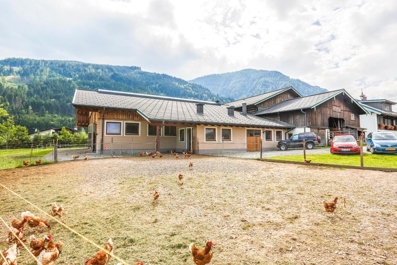 Bauernhof Vorderklinglhub &landhaus Olga * Flachau
